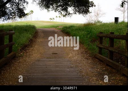 Friedlicher Landweg gesäumt von grünen Bäumen und Gras unter einem blauen Sommerhimmel, der eine natürliche ländliche Landschaft zeigt, die ideal für Wanderungen und Ausflüge ist Stockfoto