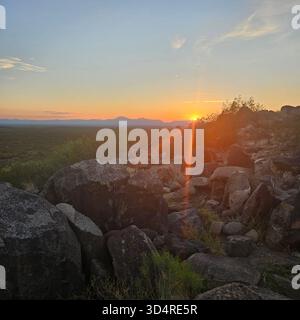 Golden Desert Sunset vom Petroglyph Trail in Three Rivers, New Mexico Stockfoto