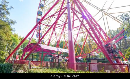 Bischkek, Kirgisistan - 01. Oktober 2024: Helles Riesenrad im Panfilov Park, Bischkek, umgeben von Bäumen, bietet eine fröhliche Atmosphäre für V Stockfoto