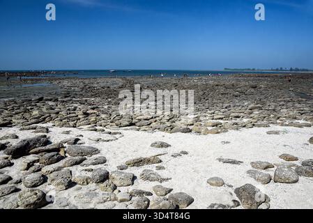 Rocky Shoreline mit Erkundungstouren unter einem klaren blauen Himmel Stockfoto
