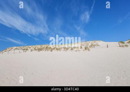 Verschiebbare Sanddünen in Łeba. Wunderschöne Wüstenlandschaft. . Küstenlandschaft. Polen. Slowinski-Nationalpark. Gräser wachsen auf den Dünen Stockfoto