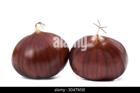 Frische süße Kastanien isoliert auf weißem Hintergrund Stockfoto