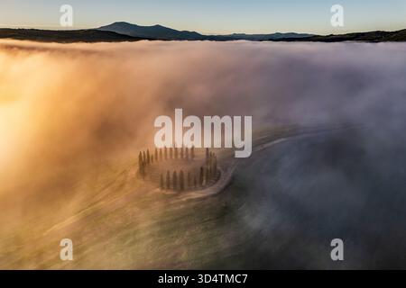 Blick aus der Vogelperspektive auf einen von ätherischem Nebel umhüllten Baumring, eingebettet in die sanften Hügel des Val d’Orcia, getaucht in das warme Licht der Morgenröte, Provinz o Stockfoto
