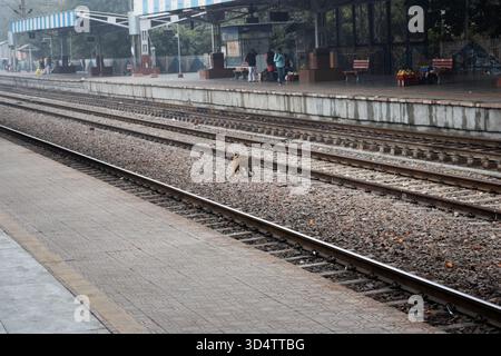 SAWAI MADHOPUR, RAJASTHAN, INDIEN - 2. FEBRUAR 2024 die India Railways Sawai Madhopur Junction Railway Station SWM Stockfoto