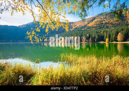 Der heitere Anna-See in Rumänien im Herbst Stockfoto