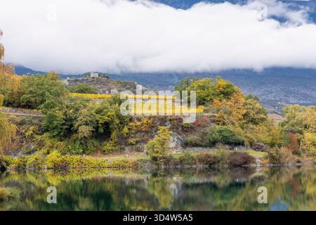 Farbenfrohe Weinberge, terrassenförmig angelegte Weinfelder. Herbstfarben der Weinberge im Rhonetal, Schweiz, Europa Stockfoto