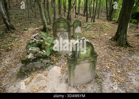 Neuer jüdischer Friedhof aus dem 19. Jahrhundert in Kazimierz Dolny, Polen © Wojciech Strozyk / Alamy Stock Photo Stockfoto