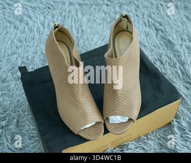Damenschuhe Jimmy Choo aus Leder. November 2025. Kiew, Ukraine Stockfoto