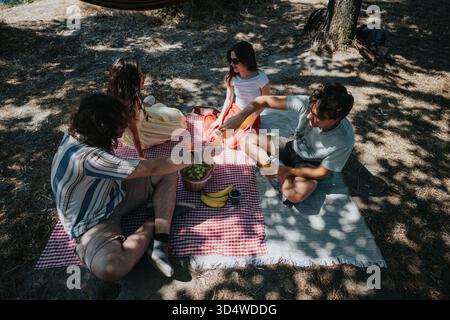 Freunde und Familie teilen sich ein sonniges Picknick im Freien, während sie Getränke auf einer rot karierten Decke unter Bäumen genießen Stockfoto