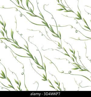 Nahtloses Blumenmuster auf isoliertem Hintergrund. Kletterfrühling, das Erbsen- oder Bindweed-Wachstum in diagonaler Richtung miteinander verbindet. Krautig Stockfoto