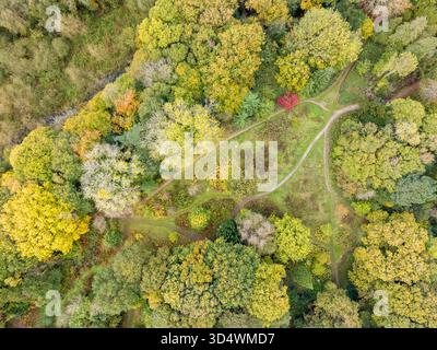Ein Blick von oben nach unten auf die Wälder des Brotherton Park im Herbst in Bromborough, Wirral, England Stockfoto