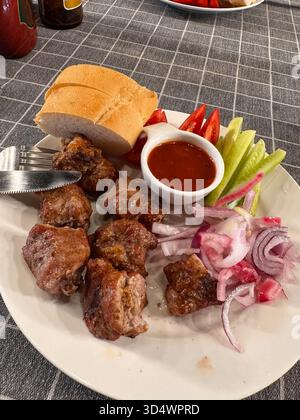 Köstliche gegrillte Schaschlik serviert mit frischem Baguette, würziger Tomatensauce, knuspriger Gurke und Tomatenscheiben sowie marinierten roten Zwiebeln. Ein herzhaftes Stockfoto