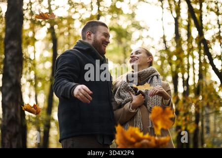 Kaukasischer junger erwachsener Mann und kaukasischer junger erwachsener Frau lächeln und gehen zusammen im Herbstwald, halten gefallene Blätter und schauen einander zwischen Bäumen mit gelbem Laub an Stockfoto