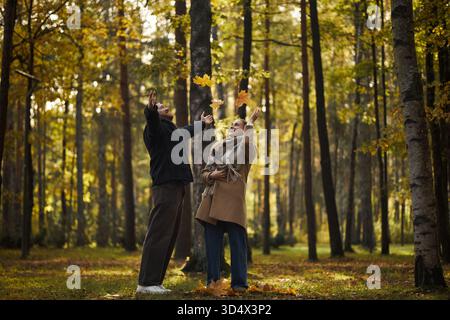 Kaukasischer junger erwachsener Mann und kaukasische junge Erwachsene Frau, die im Herbstwald stehen und gelbe Blätter nach oben werfen, beide lächelnd und aufblickend, umgeben von hohen Bäumen Stockfoto