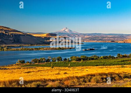 Columbia River Gorge, Mount Hood in Oregon in dist, Lastkähne und Schieberboot, Blick vom Lewis and Clark Trail, in der Nähe der Stadt Wishram, Washington, USA Stockfoto