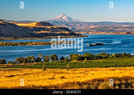 Columbia River Gorge, Mount Hood in Oregon in dist, Lastkähne und Schieberboot, Blick vom Lewis and Clark Trail, in der Nähe der Stadt Wishram, Washington, USA Stockfoto