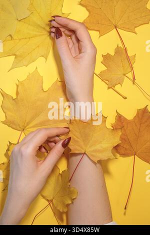 Schöne Frauenhände auf gelbem Hintergrund, herbstliches Handpflegekonzept. || Modell freigegeben Stockfoto