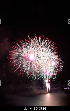Spektakuläres mehrfarbiges Feuerwerk, das am Nachthimmel platzt Stockfoto