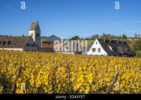 Mittelwihr, Haut-Rhin, Grand Est, Frankreich Stockfoto