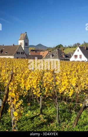 Mittelwihr, Haut-Rhin, Grand Est, Frankreich Stockfoto