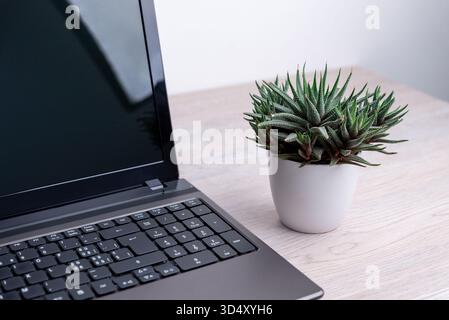 Laptop-Computer neben grüner saftiger Pflanze auf Holzschreibtisch, natürliche Arbeitsplatzszene, die das Gleichgewicht zwischen Technologie und Einfachheit symbolisiert Stockfoto