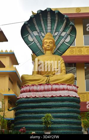 Buddha-Statue in Seema Bihar, Ramu - das spirituelle Herz der Ruhe Stockfoto