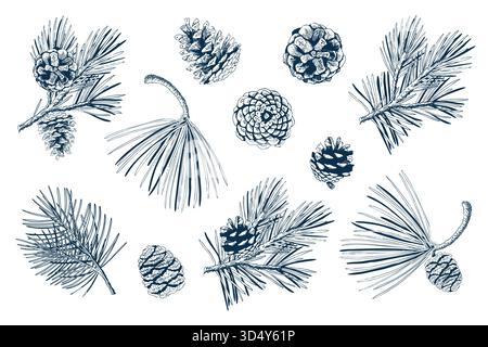 Tannenzweig und Kegel im handgezeichneten Stil. Gravierte Vektor-Illustration für Weihnachtsdesigns. Stock Vektor