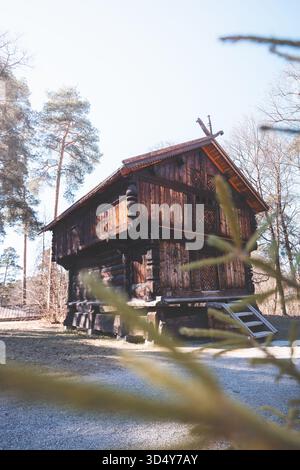 Traditionelles Holzlager aus dem ländlichen Norwegen steht unter Kiefern in der Nähe von Oslo und zeigt authentische Holzwerkskunst und warmen skandinavischen Charme. Stockfoto