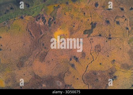 Abstrakte Drohnenaufnahme mit hohem Winkel, die die komplizierte Textur und das Muster des trockenen Sumpfgebiets im Herbst erfasst. Dominierende rostbraune, ockergelbe und orange deuten auf den Klimawandel hin. Stockfoto