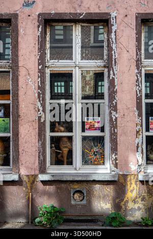 Nahaufnahme einer alten pinkfarbenen Wand mit abblätternder Farbe und einem abgenutzten, weiß gerahmten Fenster in Gent, Belgien, mit Plakaten, Reflexionen, Lichtern, und einen Wald Stockfoto