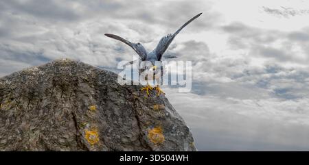 Zusammengesetzte Fotos, die alle in der Avon-Schlucht Bristol gemacht wurden Stockfoto