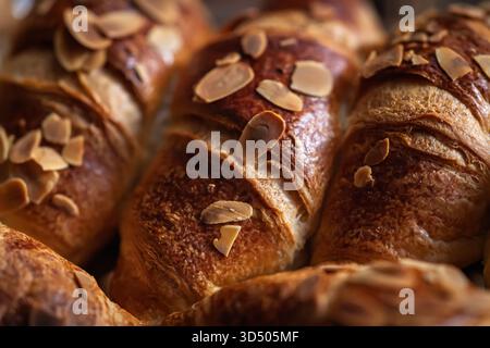 Mehrere frisch gebackene französische Brötchen liegen auf einem Backblech. Stockfoto