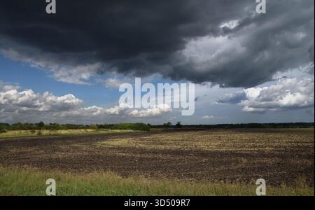 Wunderschöne August-Landschaft mit stürmischem Himmel, Russland Stockfoto