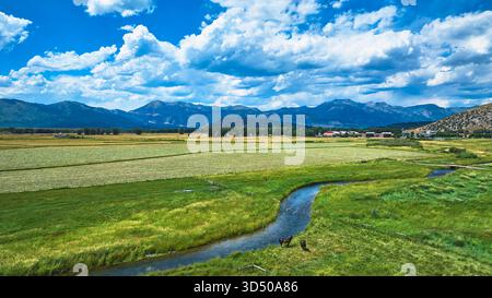 Luftpferde, die entlang des Creek in den Open Wyoming Fields weiden, mit Blick auf die Berge Stockfoto