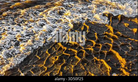 Meereswellen ziehen über Felsen mit Wabenmuster entlang der Küste von Las Palmas, die vulkanische Texturen und das Sommerlicht der Hauptstadt der Insel hervorheben Stockfoto