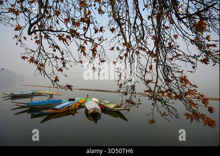 Srinagar, Indien. November 2025. SRINAGAR, INDIEN - 12. NOVEMBER: Boote werden am 12. November 2025 in Srinagar, Indien, an einem kalten Herbstmorgen im Dal-See gesehen. (Foto: Waseem Andrabi/Hindustan Times/SIPA USA) Credit: SIPA USA/Alamy Live News Stockfoto