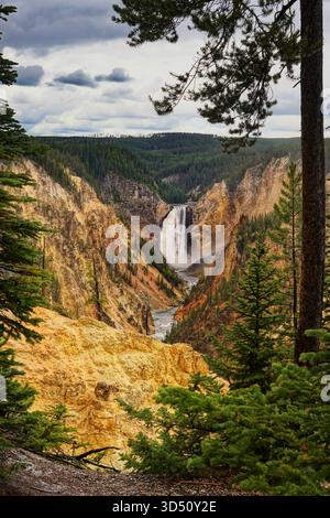 Blick auf Lower Falls und Grand Canton of Yellowstone im Yellowstone National Park in Wyoming Stockfoto
