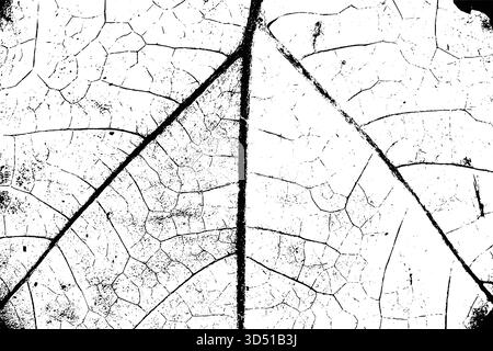 Vektorblatt-Textur-Overlay mit Distressed Grunge-Effekt Stock Vektor