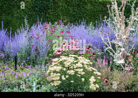 Sommergartenrand Stockfoto