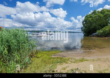 Ein wunderschöner See in Kaschubien. Natürliches Seeufer. Schilf im Vordergrund. Vertäute Boote. Sommer. Sonniger Tag. Naturstrand. Lake Zarnowieckie, Nadole, Stockfoto