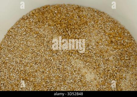 Gerste in einem Behälter gemahlen, Gerste mahlen. Stockfoto