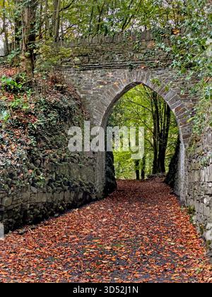 Blick auf den Herbstwald in Heywood Gardens, Co Laois, Irland Stockfoto