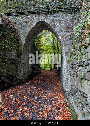 Herbst im Waldpark in Heywood Gardens, Co Laois, Irland Stockfoto