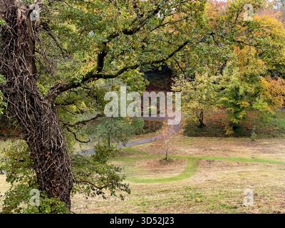 Blick auf den See und den Autumn Forest Park in Heywood Gardens, Co Laois, Irland Stockfoto