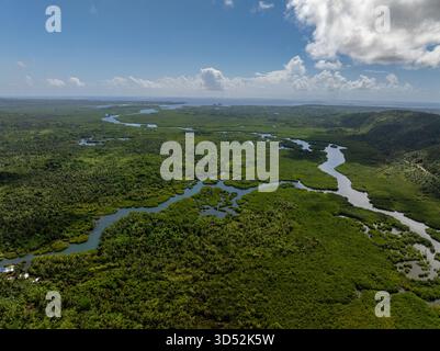 Blick aus der Vogelperspektive auf den Fluss, der durch grünen tropischen Wald und Mangroven führt, mit Blick auf das Meer. Siargao, Philippinen. Stockfoto