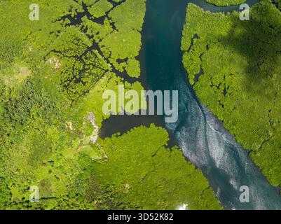 Mangrovenvegetation trifft auf klares Flusswasser mit sichtbaren Mustern und Reflexionen. Siargao, Philippinen. Stockfoto