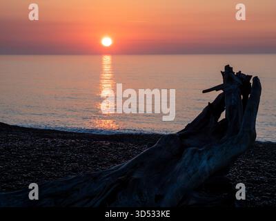 Sonnenaufgang über ruhigem Meer mit Treibholz am Kieselstrand Stockfoto