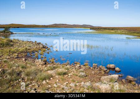 Ruhiges Binnenloch auf der Coigach Peninsula, schottischen Highlands, mit Felsen und Kieselsteinen an der rauen Küste und lebendigem blauem Wasser an einem hellen sonnigen Tag. Stockfoto
