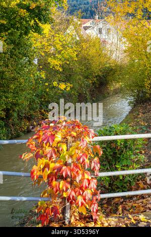 Ein kleiner Bach in Kennelbach fließt durch eine üppige Herbstlandschaft mit lebhaftem Laub. Stockfoto