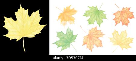 Herbstlaub-Aquarellkollektion aus Ahornholz. Illustration der Walddesign-Elemente für die Herbstfeiertagskarte und Thanksgiving und Hallowee Stock Vektor
